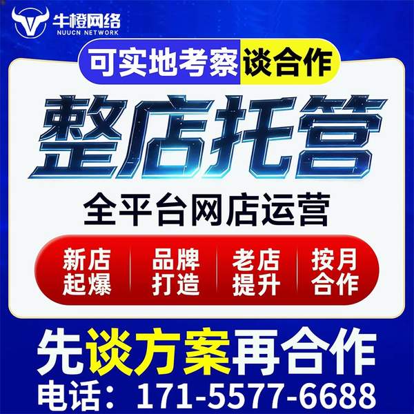 桂林电商代运营
