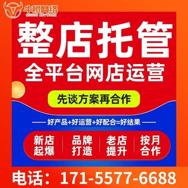 桂林电商代运营