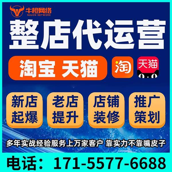 桂林电商代运营
