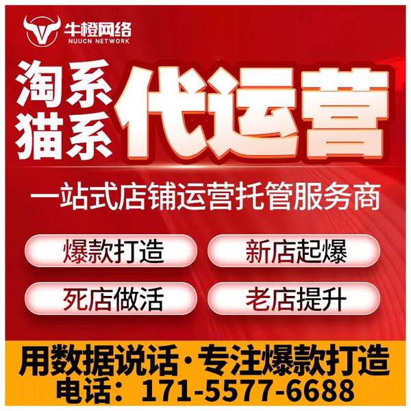 桂林电商代运营